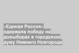 «Единая Россия» одержала победу на довыборах в городскую думу Нижнего Новгорода