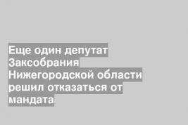 Еще один депутат Заксобрания Нижегородской области решил отказаться от мандата