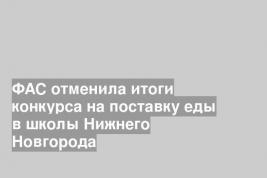 ФАС отменила итоги конкурса на поставку еды в школы Нижнего Новгорода