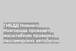 ГИБДД Нижнего Новгорода проведёт масштабную проверку пассажирских автобусов