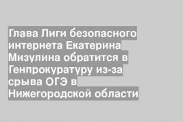 Глава Лиги безопасного интернета Екатерина Мизулина обратится в Генпрокуратуру из-за срыва ОГЭ в Нижегородской области