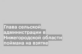 Глава сельской администрации в Нижегородской области поймана на взятке