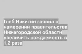 Глеб Никитин заявил о намерении правительства Нижегородской области увеличить рождаемость в 1,2 раза