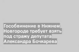Гособвинение в Нижнем Новгороде требует взять под стражу депутата Александра Бочкарева