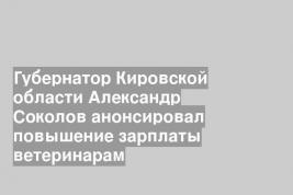 Губернатор Кировской области Александр Соколов анонсировал повышение зарплаты ветеринарам