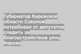 Губернатор Кировской области Соколов потребовал от депутатов следить за благоустройством улиц Кирова