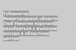 Губернатор Нижегородской области Глеб Никитин поручил разобраться с вывозом мусора в областном центре