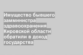 Имущество бывшего замминистра здравоохранения Кировской области обратили в доход государства