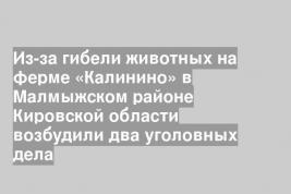 Из-за гибели животных на ферме «Калинино» в Малмыжском районе Кировской области возбудили два уголовных дела