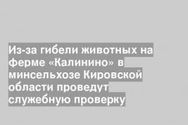Из-за гибели животных на ферме «Калинино» в минсельхозе Кировской области проведут служебную проверку