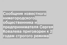 Сообщник известного нижегородского общественника и предпринимателя Сергея Ковалева приговорен к 2 годам строгого режима