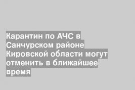 Карантин по АЧС в Санчурском районе Кировской области могут отменить в ближайшее время