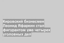 Кировский бизнесмен Леонид Яфаркин стал фигурантом уже четырех уголовных дел
