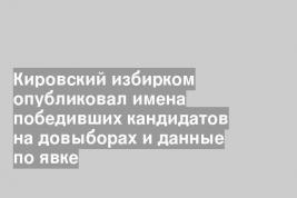 Кировский избирком опубликовал имена победивших кандидатов на довыборах и данные по явке