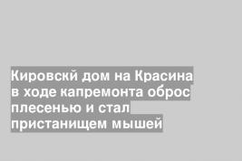 Кировскй дом на Красина в ходе капремонта оброс плесенью и стал пристанищем мышей
