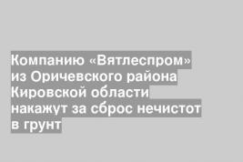 Компанию «Вятлеспром» из Оричевского района Кировской области накажут за сброс нечистот в грунт