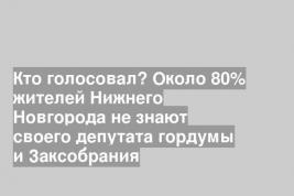 Кто голосовал? Около 80% жителей Нижнего Новгорода не знают своего депутата гордумы и Заксобрания