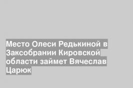 Место Олеси Редькиной в Заксобрании Кировской области займет Вячеслав Царюк