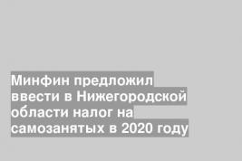 Минфин предложил ввести в Нижегородской области налог на самозанятых в 2020 году