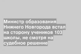 Министр образования Нижнего Новгорода встал на сторону учеников 103 школы, не смотря на судебное решение