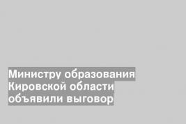 Министру образования Кировской области объявили выговор