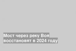 Мост через реку Воя восстановят в 2024 году