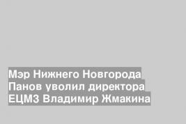 Мэр Нижнего Новгорода Панов уволил директора ЕЦМЗ Владимир Жмакина
