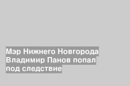 Мэр Нижнего Новгорода Владимир Панов попал под следствие