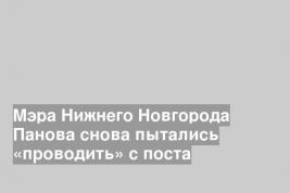 Мэра Нижнего Новгорода Панова снова пытались «проводить» с поста