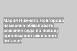 Мэрия Нижнего Новгорода намерена обжаловать решение суда по поводу организации школьного питания