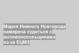 Мэрия Нижнего Новгорода намерена судиться с антимонопольщиками из-за ЕЦМЗ