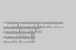 Мэрия Нижнего Новгорода смогла спасти от банкротства « Нижгортранс»