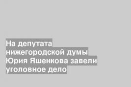 На депутата нижегородской думы Юрия Яшенкова завели уголовное дело