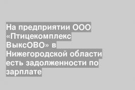 На предприятии ООО «Птицекомплекс ВыксОВО» в Нижегородской области есть задолженности по зарплате
