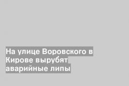 На улице Воровского в Кирове вырубят аварийные липы