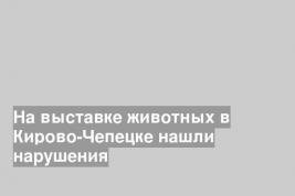 На выставке животных в Кирово-Чепецке нашли нарушения