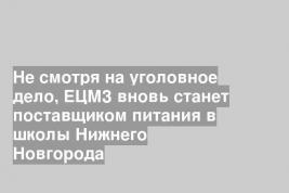 Не смотря на уголовное дело, ЕЦМЗ вновь станет поставщиком питания в школы Нижнего Новгорода