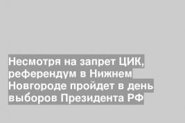 Несмотря на запрет ЦИК, референдум в Нижнем Новгороде пройдет в день выборов Президента РФ