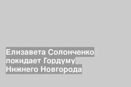 Елизавета Солонченко покидает Гордуму Нижнего Новгорода