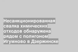 Несанкционированная свалка химических отходов обнаружена рядом с полигоном Игумново в Дзержинске