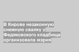 В Кирове незаконную снежную свалку у Федяковского кладбища организовала мэрия