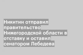 Никитин отправил правительство Нижегородской области в отставку и оставил сенатором Лебедева