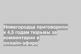 Нижегородца приговорили к 4,5 годам тюрьмы за комментарии в онлайн-эфире