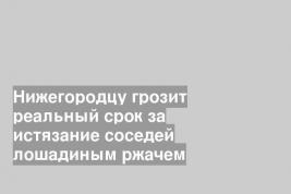 Нижегородцу грозит реальный срок за истязание соседей лошадиным ржачем