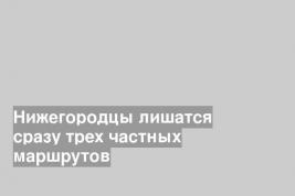 Нижегородцы лишатся сразу трех частных маршрутов
