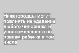 Нижегородцы могут повлиять на удаление любого чиновника и уполномоченного по правам ребенка в том числе