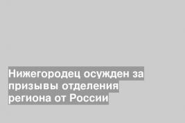Нижегородец осужден за призывы отделения региона от России