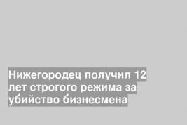 Нижегородец получил 12 лет строгого режима за убийство бизнесмена