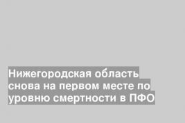 Нижегородская область снова на первом месте по уровню смертности в ПФО