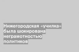 Нижегородская «училка» была шокирована неграмотностью политиков